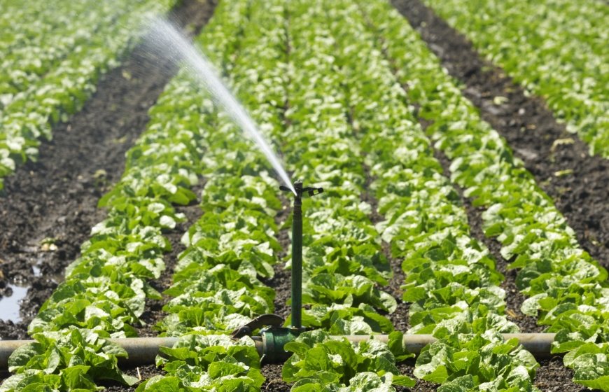 Irrigation and agriculture