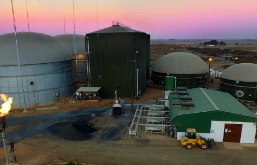 Photo of the biogas plant, Bio2Watt, in South Africa.