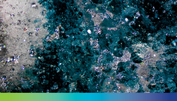 Cover of NWP White Paper developed in collaboration with Evers + Manders Grant Consultants web