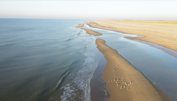 NWP corporate image of the Dutch coastline.