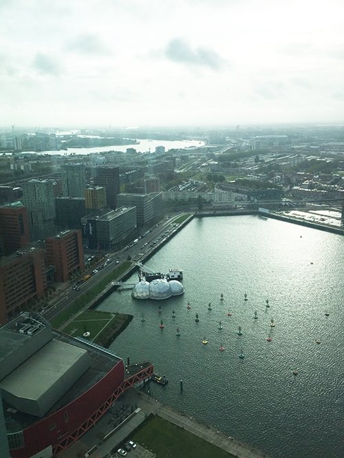 River as tidal park - Rotterdam