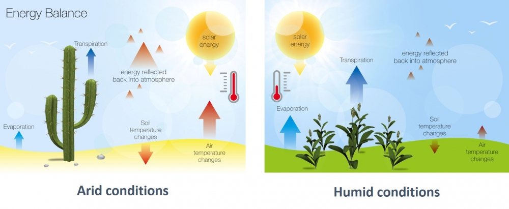 Energy Balance Modelling