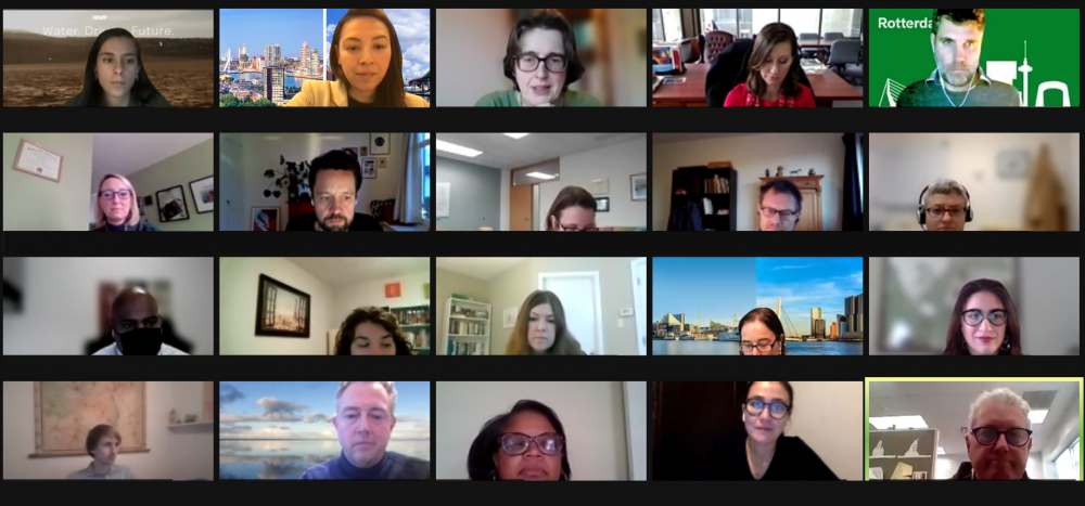 Screenshot of online meeting