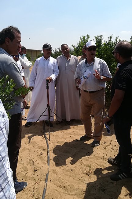 Open Field Days – discussing in the field the connection between geodata tool results and field observations.