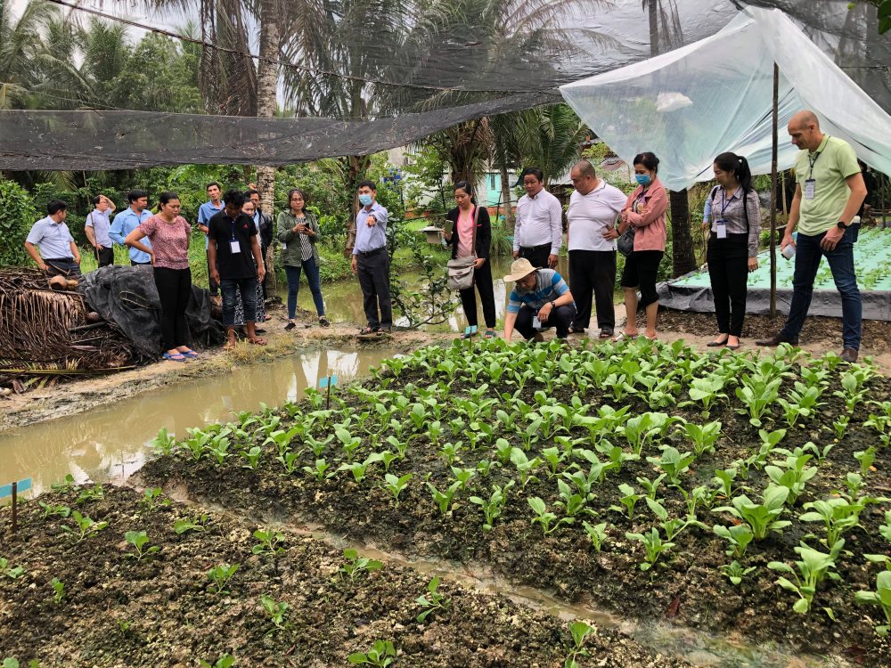 Saline Agriculture training courses Vietnam