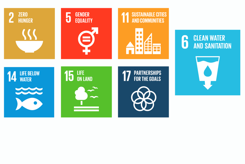 SDGs related to Water