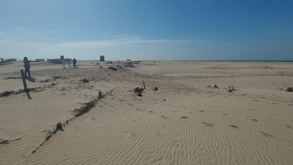 Low dunes in the north coast of Egypt, a nature-based initiative to reduce damage caused by coastal flooding.