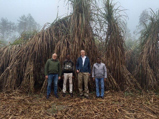 IrriWatch team visits the sugarcane fields with DCM Shiriam team