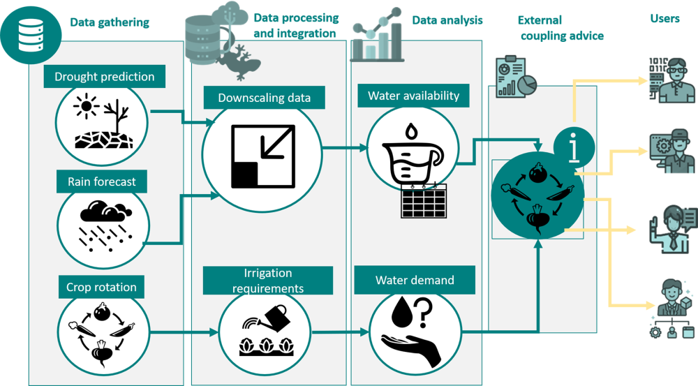 Figure of the working process applied to develop and test a business case for implementing downscaled climate forecasts for agricultural use. Photo: Nelen & Schuurmans.