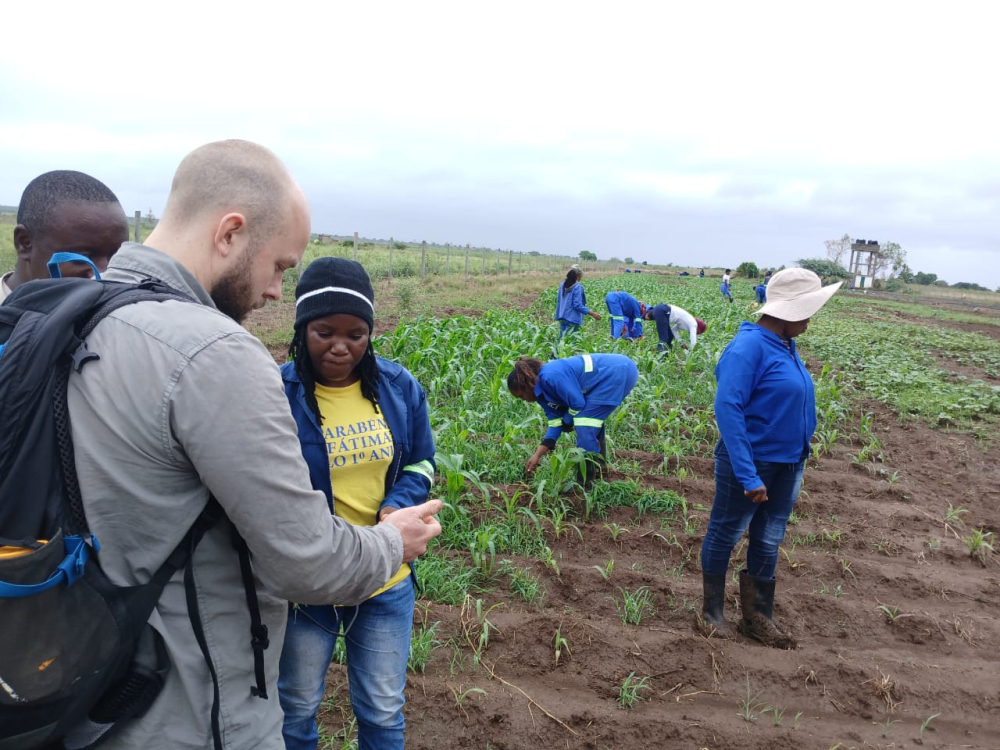 Seed money project Mozambique