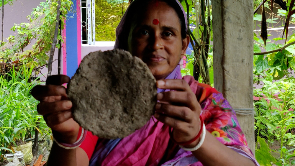 Seed money project on salinity in Bangladesh