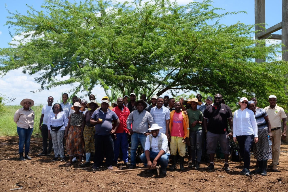 the Mozambican Saline Agriculture Research and Practice project in Mozambique