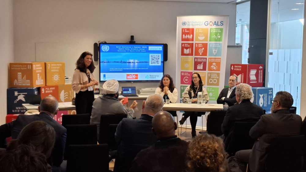 WASH session at the 2025 United Nations International Procurement Seminar in Copenhagen.