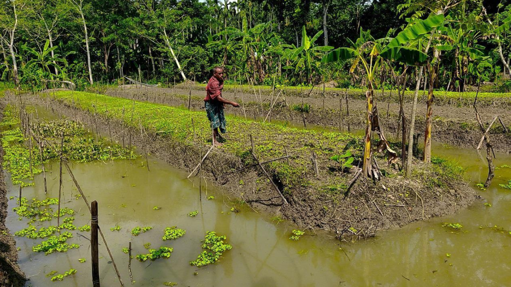 Farming technology in salt-affected areas