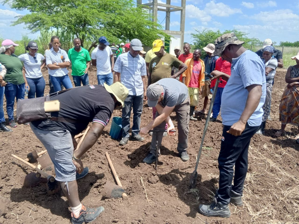 Mozambican Saline Agriculture Research and Practice