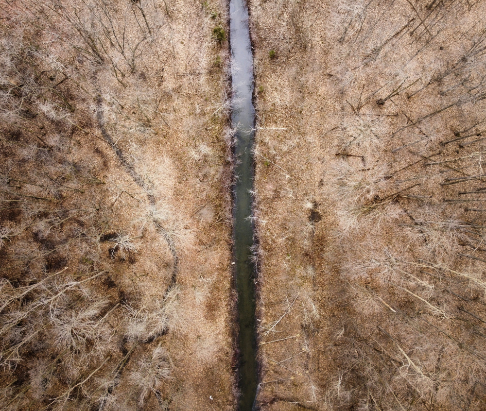 mathieu-deslauriers-CYNzPsSQ2E4-unsplash