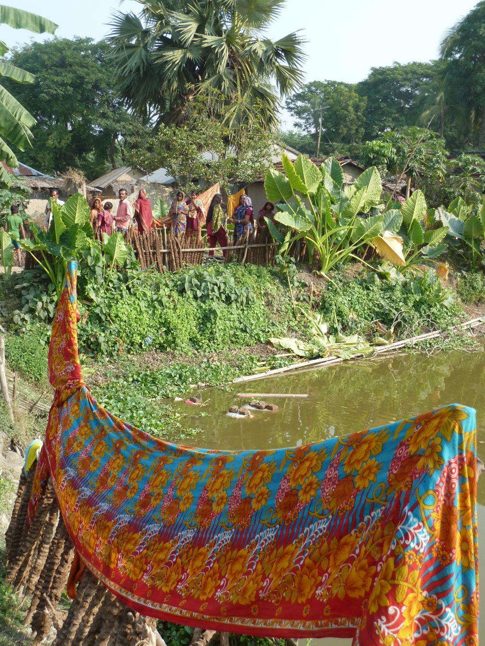 Bangladesh Salinity Study