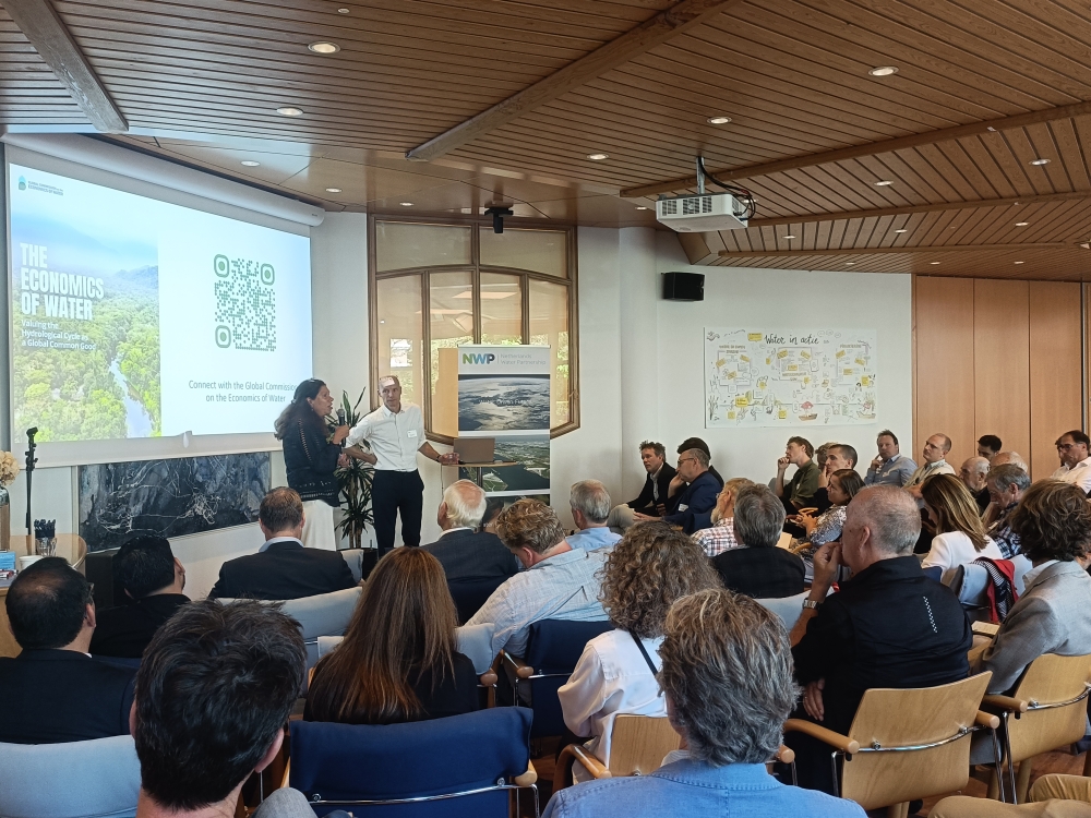 Q&A with Henk Ovink at NWP Member Meet-up on 2 July 2026
