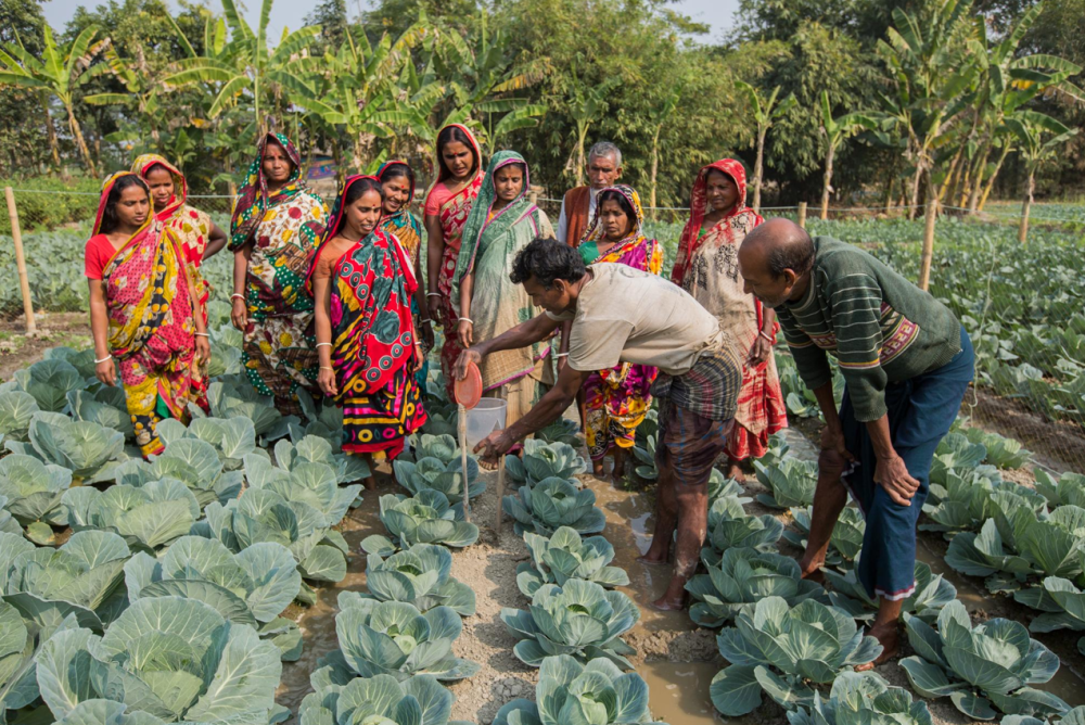 Workshop-on-salinity intrusion-in-rural-Bangladesh