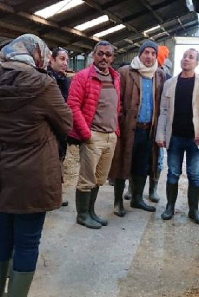 Studytour of a delegation from Egypt