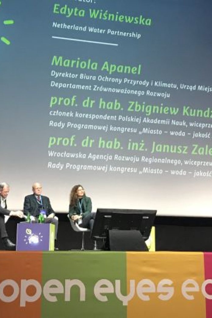 NWP's Edyta Wisniewska moderates a session during the OEES 2018 conference