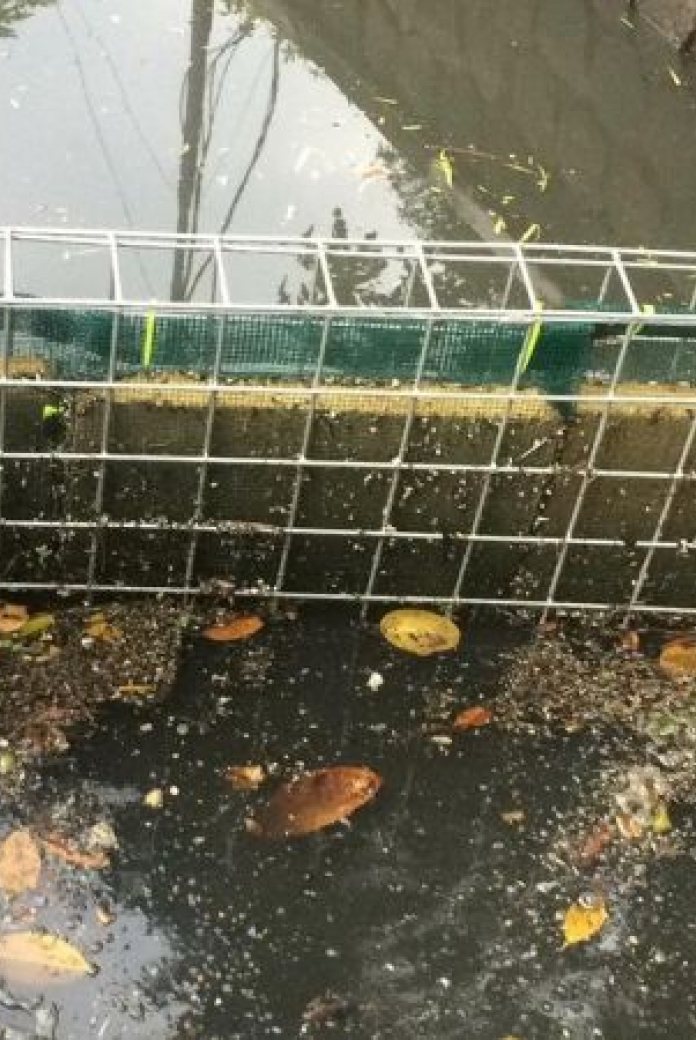 The drainblock technique