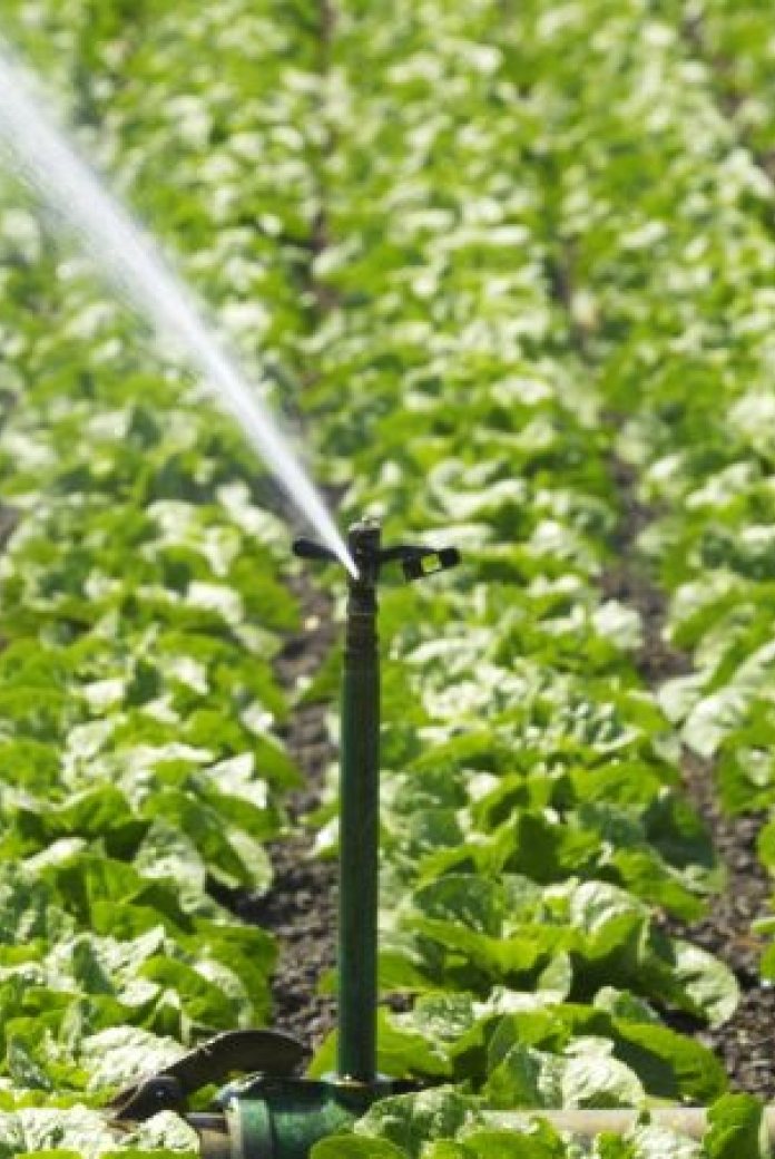 Irrigation
