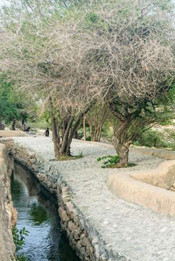 Oman Netherlands Water Taskforce