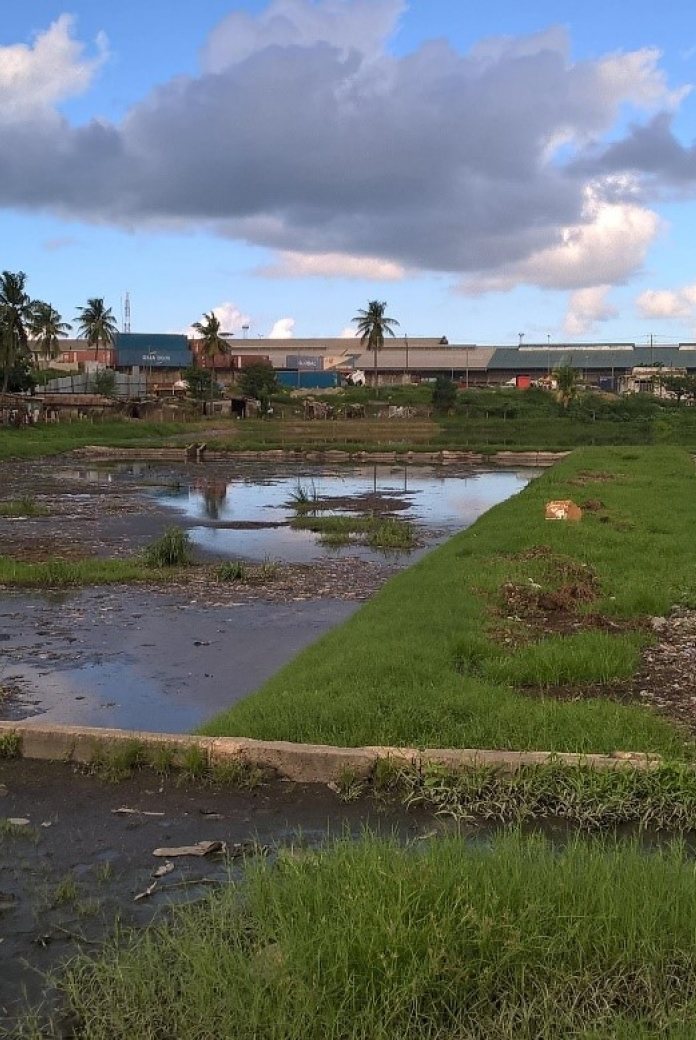 Photo of cesspool where untreated human waste is dumped in Dar es Salaam, Tanzania.