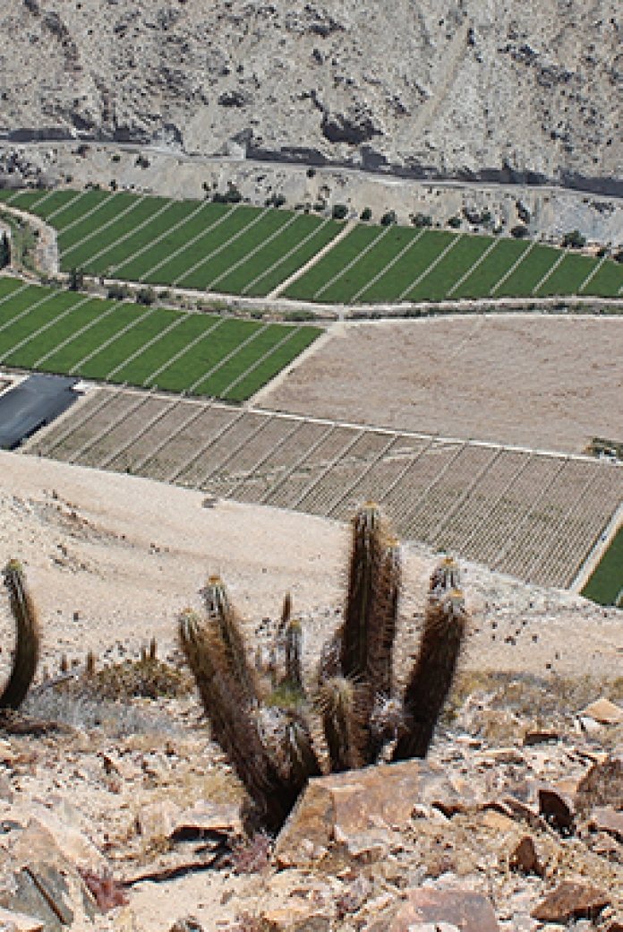 Phot of a farming area in Chile.