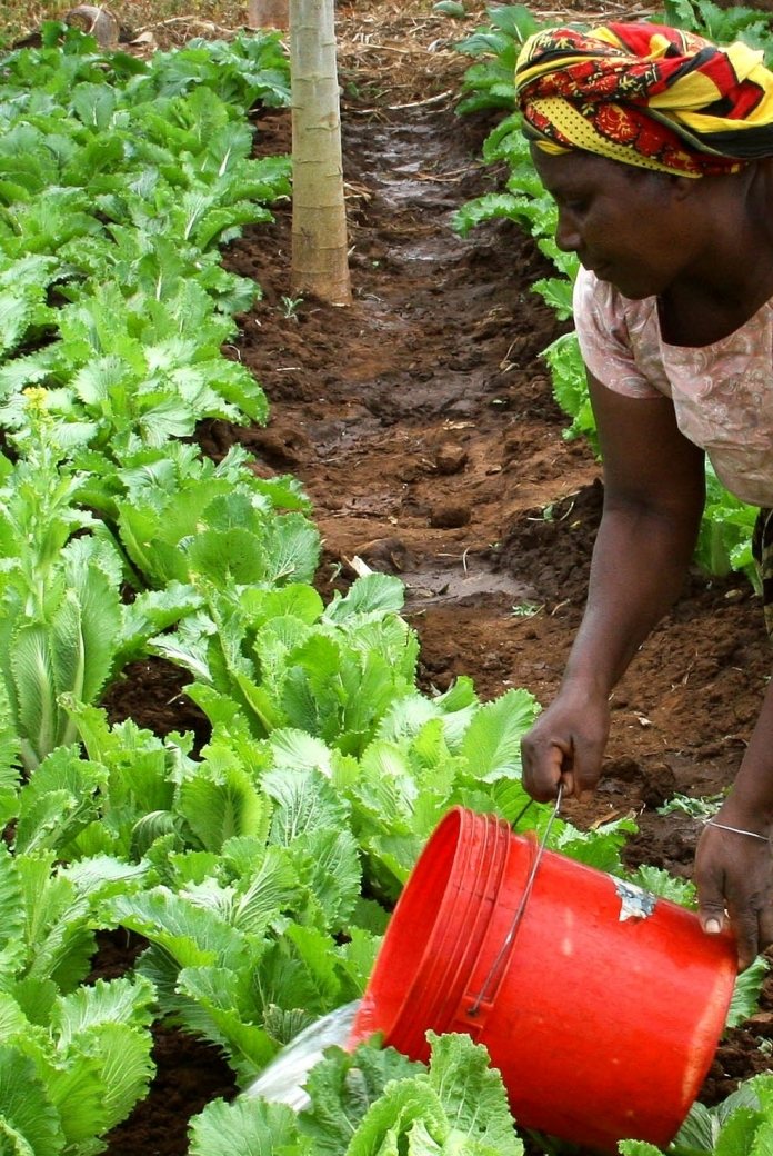 Watering crops