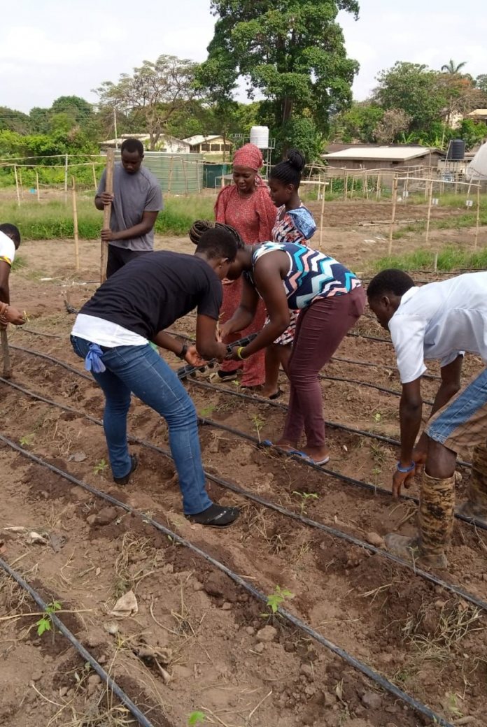 Smart Irrigation Management in Ghana