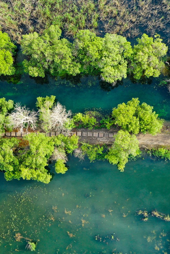 Water and green