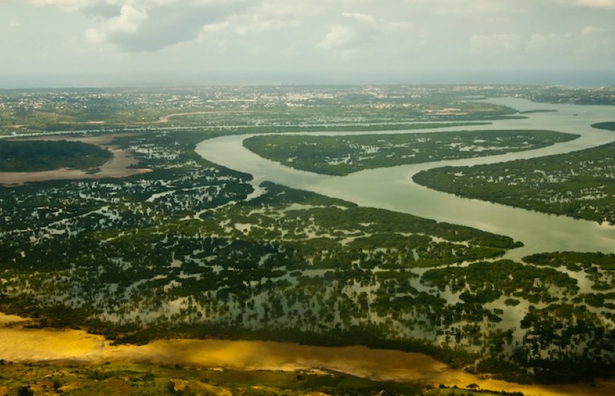 Landscape of Kenya