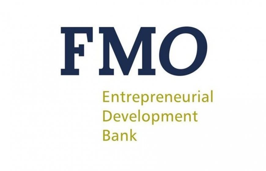 Logo of FMO