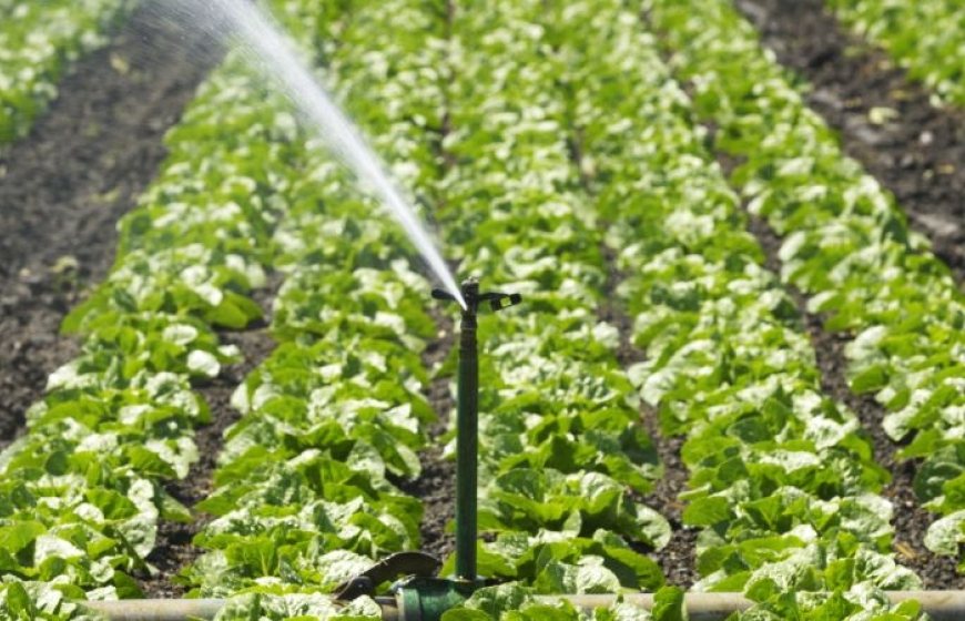 Irrigation