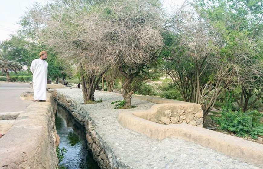 Oman Netherlands Water Taskforce