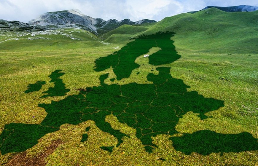 Photo of the map of Europe made of green grass