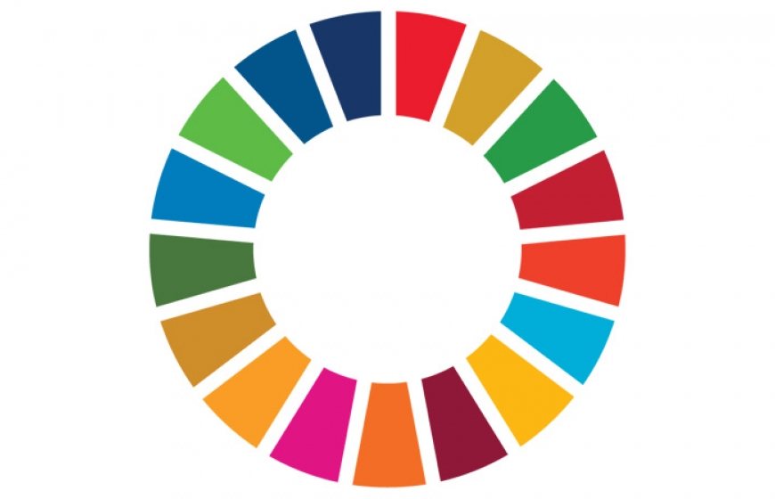 Photo of the Sustainable Development Goals Wheel
