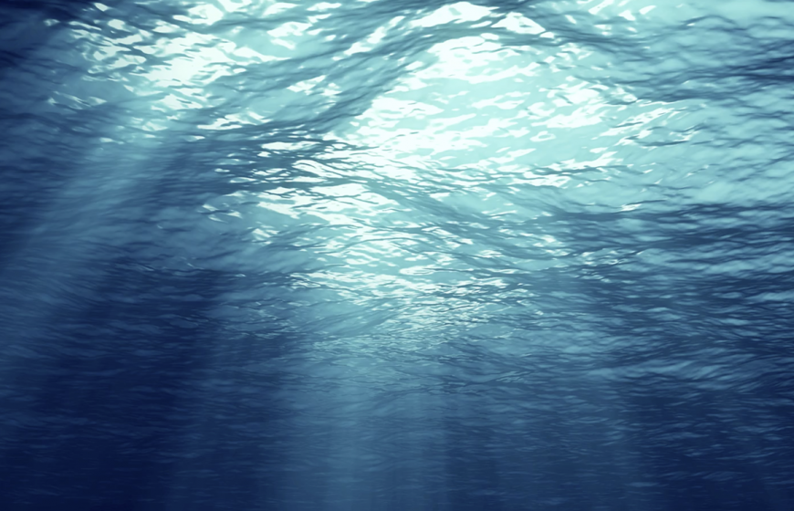 View of the sea from underneath