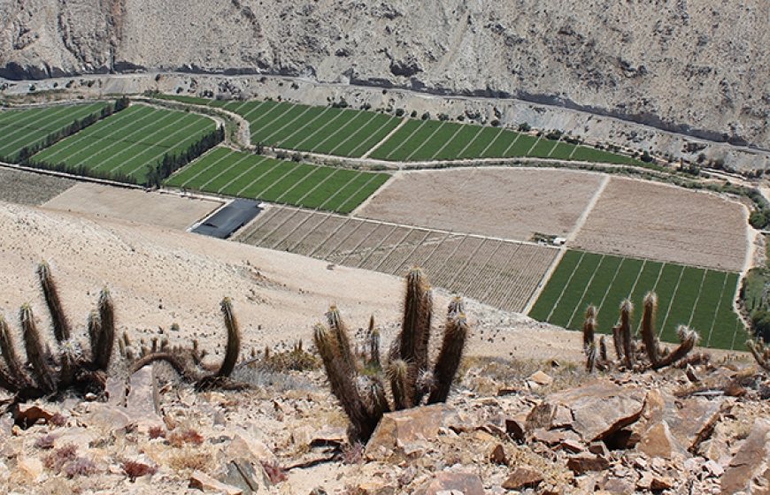 Phot of a farming area in Chile.