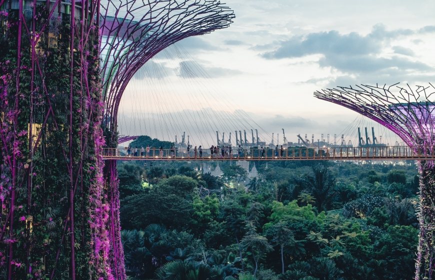 Solar-powered trees at Garden by the Bay, Singapore