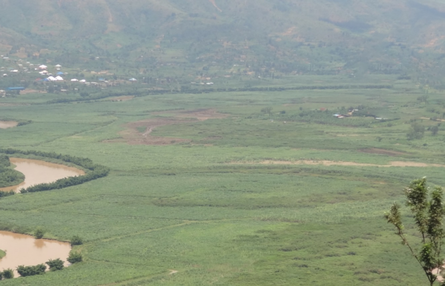 Photo of marshlands in Rwanda, related to the public private partnership Sugar Make It Work project, coordinated by Techforce.