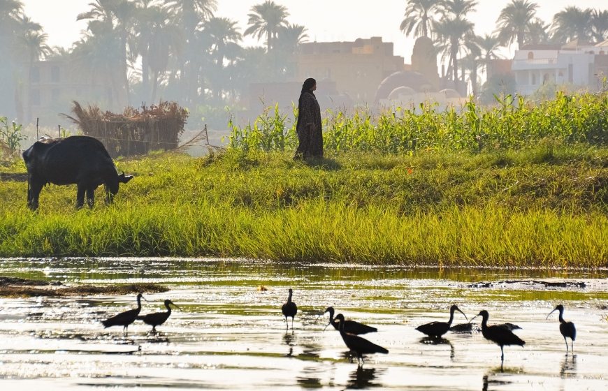 Image of a rural area in Egypt