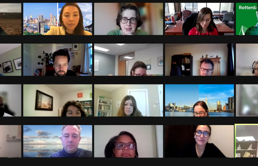 Screenshot of online meeting