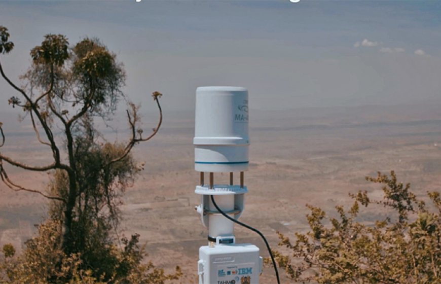 TAHMO weather station in action