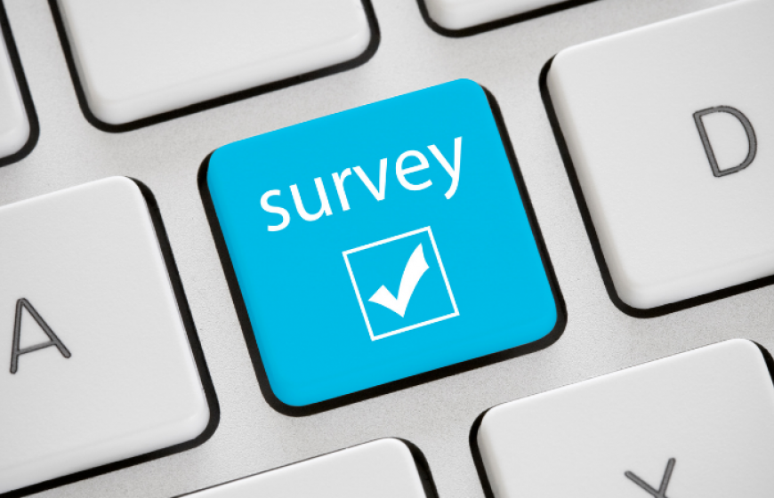 Online survey