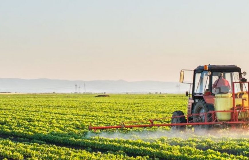 Water and Agriculture