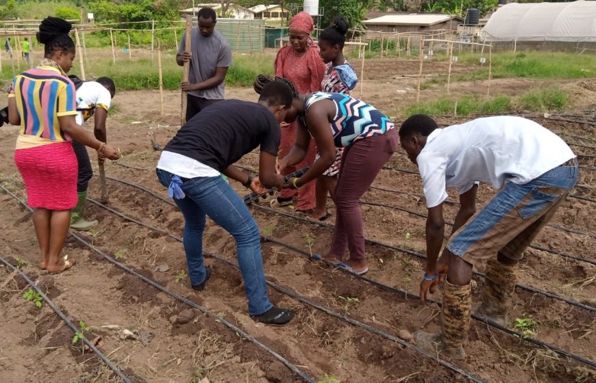 Smart Irrigation Management in Ghana