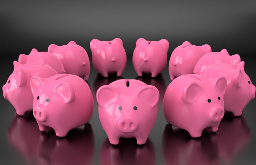 image of several piggy banks